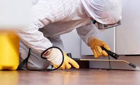 Best Real Estate Pest Inspections  in Lake Leann, MI